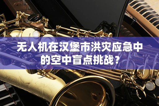 无人机在汉堡市洪灾应急中的空中盲点挑战？