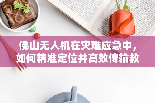 佛山无人机在灾难应急中，如何精准定位并高效传输救援信息？