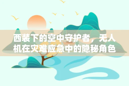 西装下的空中守护者，无人机在灾难应急中的隐秘角色