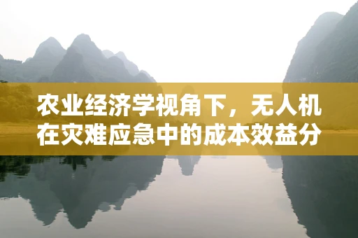 农业经济学视角下，无人机在灾难应急中的成本效益分析