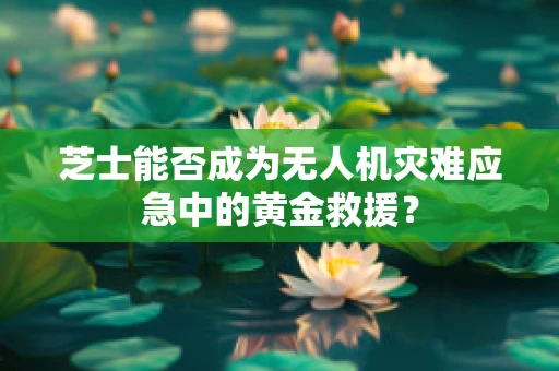 芝士能否成为无人机灾难应急中的黄金救援？