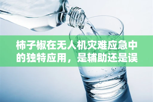 柿子椒在无人机灾难应急中的独特应用，是辅助还是误导？