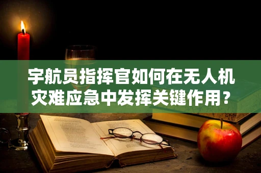 宇航员指挥官如何在无人机灾难应急中发挥关键作用？