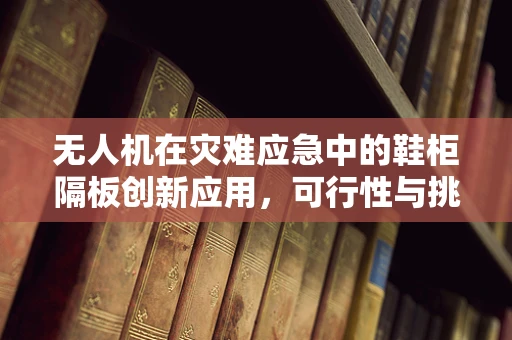 无人机在灾难应急中的鞋柜隔板创新应用，可行性与挑战？