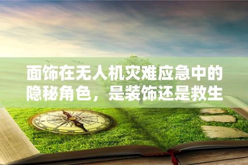 面饰在无人机灾难应急中的隐秘角色，是装饰还是救生稻草？