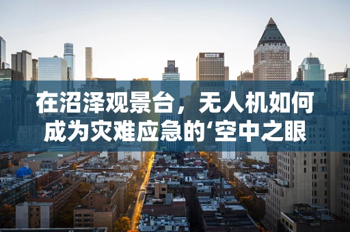 在沼泽观景台，无人机如何成为灾难应急的‘空中之眼’？