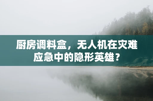 厨房调料盒，无人机在灾难应急中的隐形英雄？