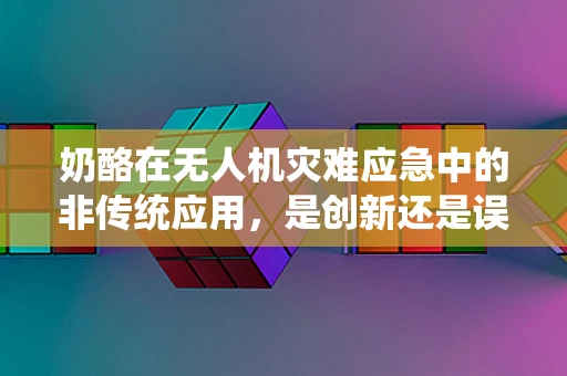 奶酪在无人机灾难应急中的非传统应用，是创新还是误导？