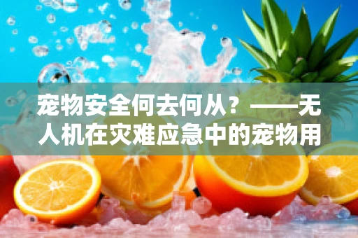 宠物安全何去何从？——无人机在灾难应急中的宠物用品配送挑战