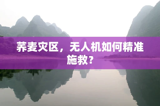 荞麦灾区，无人机如何精准施救？