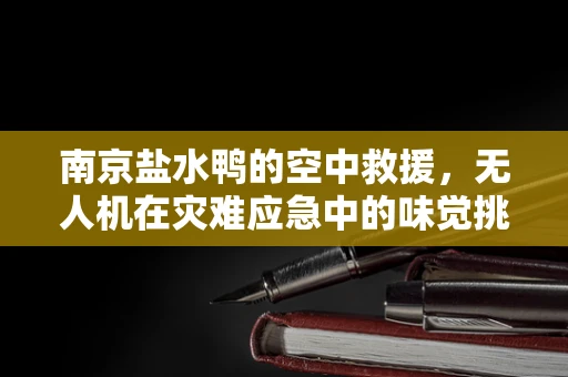 南京盐水鸭的空中救援，无人机在灾难应急中的味觉挑战