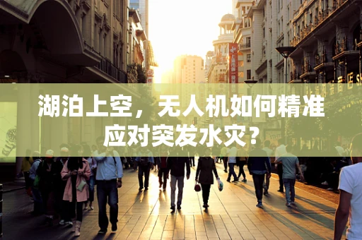 湖泊上空，无人机如何精准应对突发水灾？