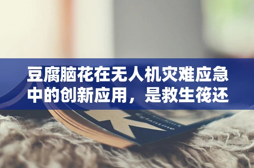 豆腐脑花在无人机灾难应急中的创新应用，是救生筏还是空中情报站？