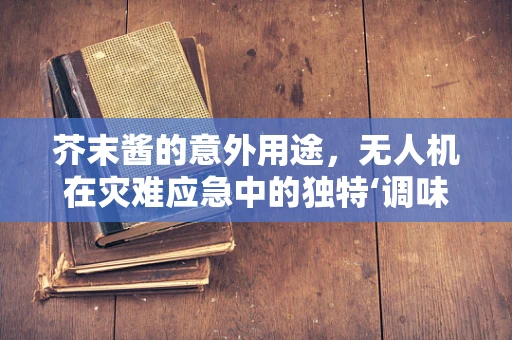 芥末酱的意外用途，无人机在灾难应急中的独特‘调味’