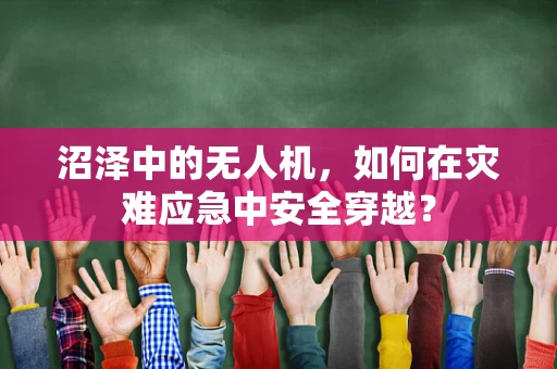 沼泽中的无人机，如何在灾难应急中安全穿越？