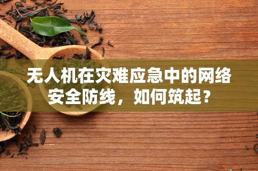 无人机在灾难应急中的网络安全防线，如何筑起？