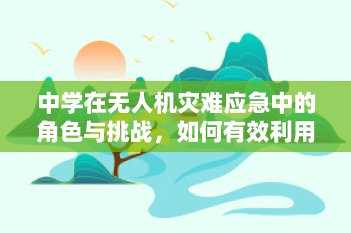 中学在无人机灾难应急中的角色与挑战，如何有效利用无人机进行快速响应？