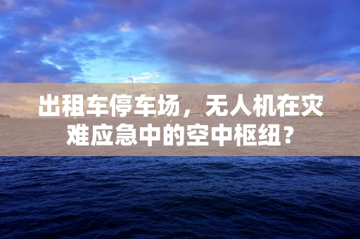 出租车停车场，无人机在灾难应急中的空中枢纽？