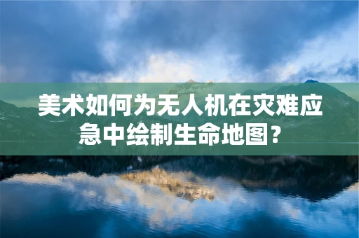 美术如何为无人机在灾难应急中绘制生命地图？