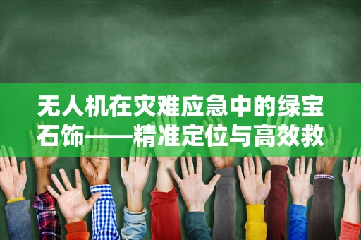 无人机在灾难应急中的绿宝石饰——精准定位与高效救援的挑战与对策