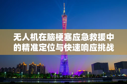 无人机在脑梗塞应急救援中的精准定位与快速响应挑战