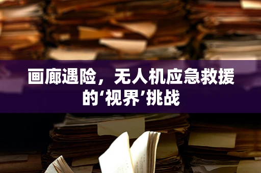 画廊遇险，无人机应急救援的‘视界’挑战