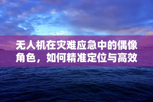 无人机在灾难应急中的偶像角色，如何精准定位与高效救援？