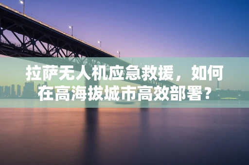 拉萨无人机应急救援，如何在高海拔城市高效部署？