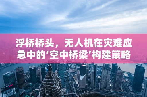 浮桥桥头，无人机在灾难应急中的‘空中桥梁’构建策略？