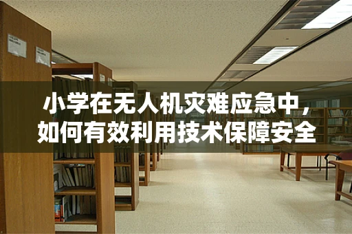 小学在无人机灾难应急中，如何有效利用技术保障安全？