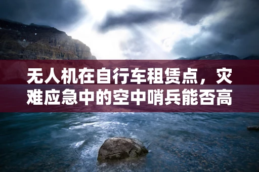 无人机在自行车租赁点，灾难应急中的空中哨兵能否高效发挥作用？