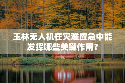 玉林无人机在灾难应急中能发挥哪些关键作用？