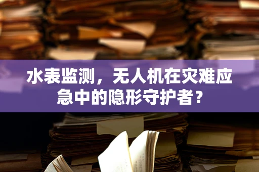 水表监测，无人机在灾难应急中的隐形守护者？