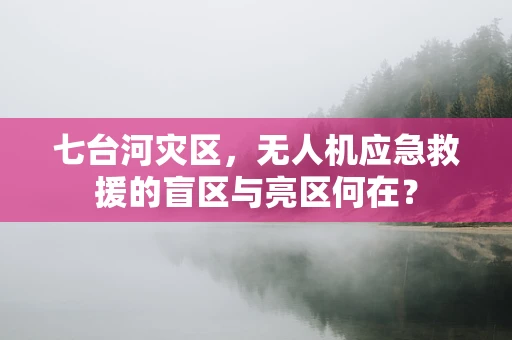 七台河灾区，无人机应急救援的盲区与亮区何在？