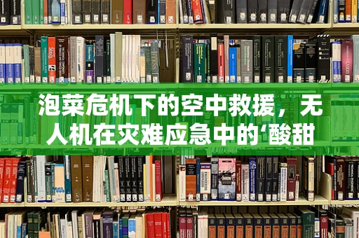 泡菜危机下的空中救援，无人机在灾难应急中的‘酸甜苦辣’