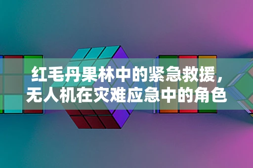 红毛丹果林中的紧急救援，无人机在灾难应急中的角色与挑战