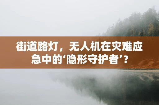 街道路灯，无人机在灾难应急中的‘隐形守护者’？