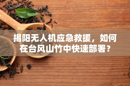 揭阳无人机应急救援，如何在台风山竹中快速部署？