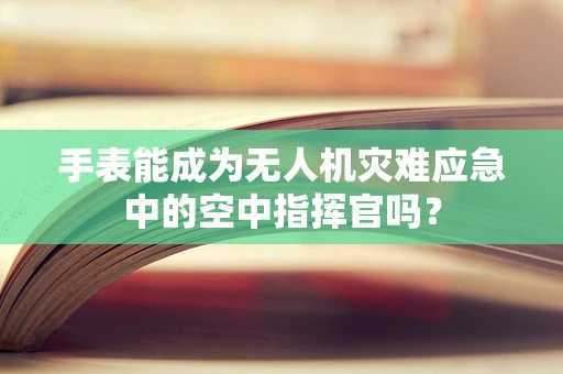 手表能成为无人机灾难应急中的空中指挥官吗？