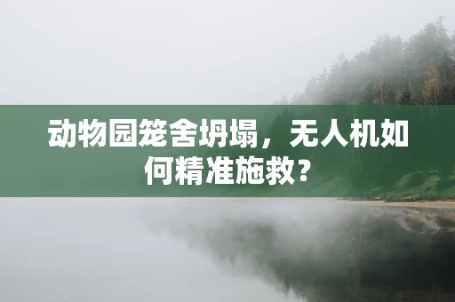 动物园笼舍坍塌，无人机如何精准施救？