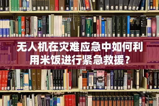 无人机在灾难应急中如何利用米饭进行紧急救援？