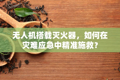 无人机搭载灭火器，如何在灾难应急中精准施救？