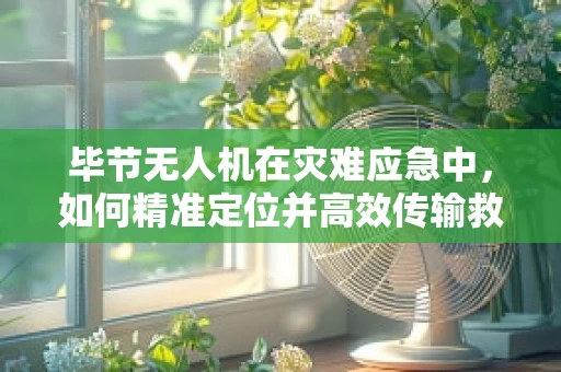 毕节无人机在灾难应急中，如何精准定位并高效传输救援信息？