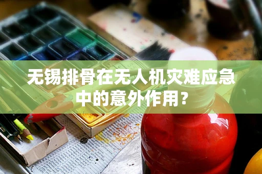 无锡排骨在无人机灾难应急中的意外作用？