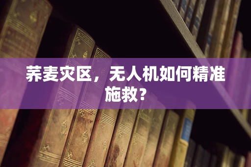 荞麦灾区，无人机如何精准施救？