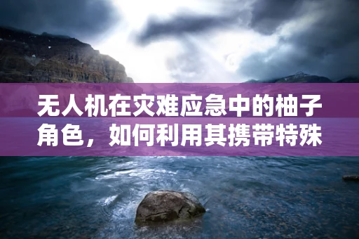 无人机在灾难应急中的柚子角色，如何利用其携带特殊物资？