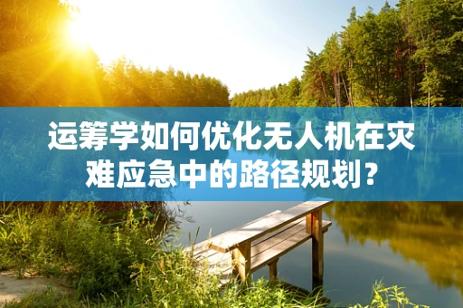 运筹学如何优化无人机在灾难应急中的路径规划？