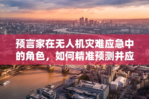 预言家在无人机灾难应急中的角色，如何精准预测并应对未知挑战？