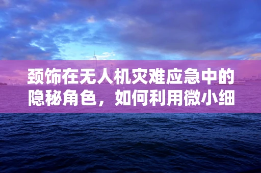 颈饰在无人机灾难应急中的隐秘角色，如何利用微小细节提升救援效率？