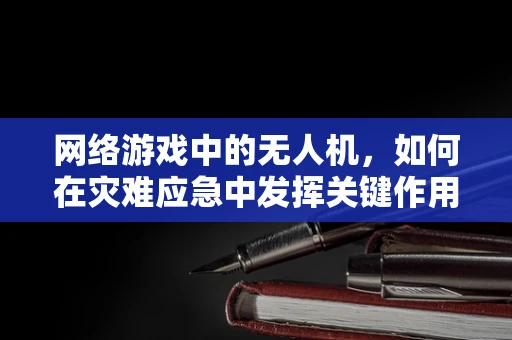 网络游戏中的无人机，如何在灾难应急中发挥关键作用？